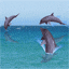 -pubblicazione sull'acquaticit (AQUANANDA)