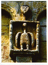 aquila